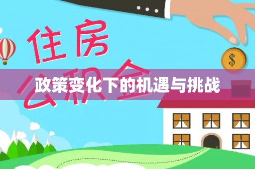 闻喜政策变化下的机遇与挑战