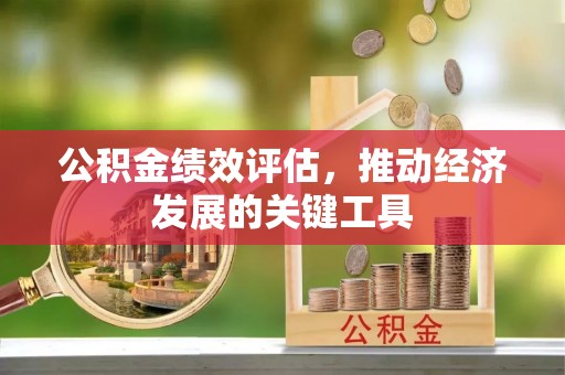 闻喜公积金绩效评估，推动经济发展的关键工具