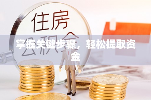 闻喜掌握关键步骤，轻松提取资金