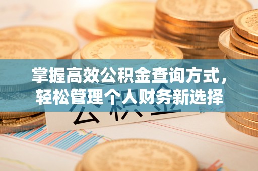 闻喜掌握高效公积金查询方式，轻松管理个人财务新选择