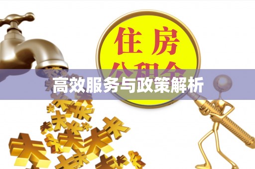 闻喜高效服务与政策解析