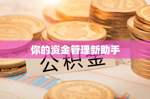 闻喜你的资金管理新助手