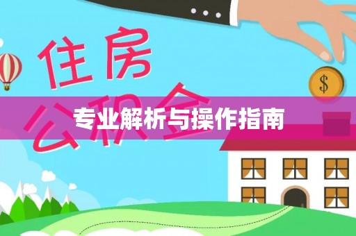 闻喜专业解析与操作指南