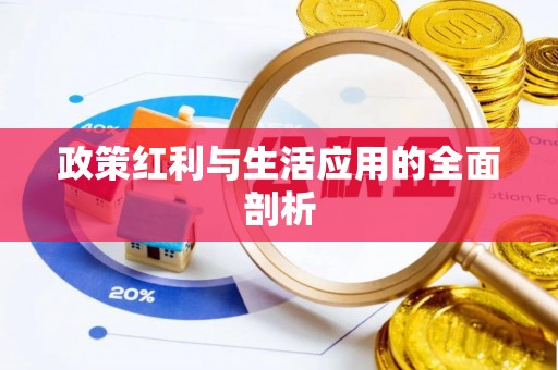 闻喜政策红利与生活应用的全面剖析