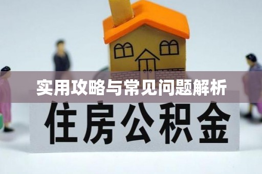 闻喜实用攻略与常见问题解析