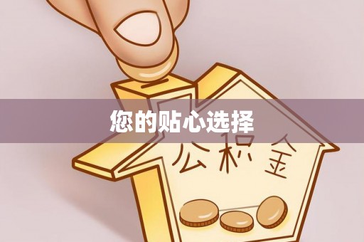 闻喜您的贴心选择