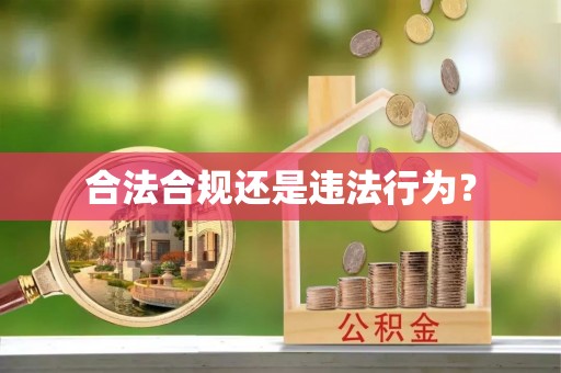 闻喜合法合规还是违法行为？