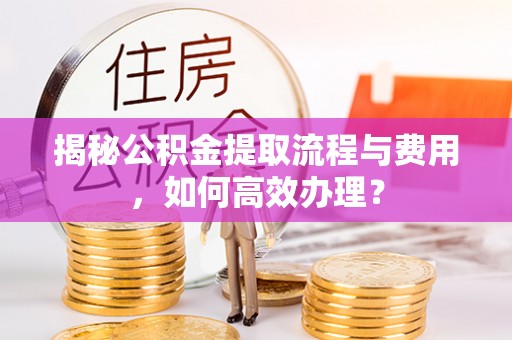 闻喜揭秘公积金提取流程与费用，如何高效办理？
