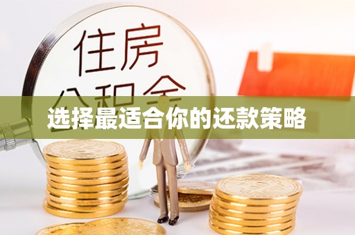 闻喜选择最适合你的还款策略
