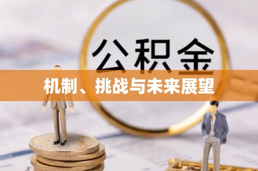 闻喜机制、挑战与未来展望